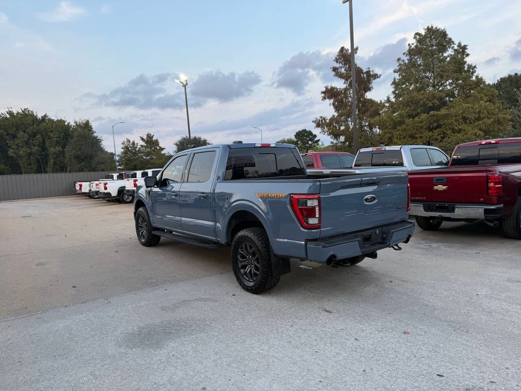 Ford F-150 Vehicle Full-screen Gallery Image 04