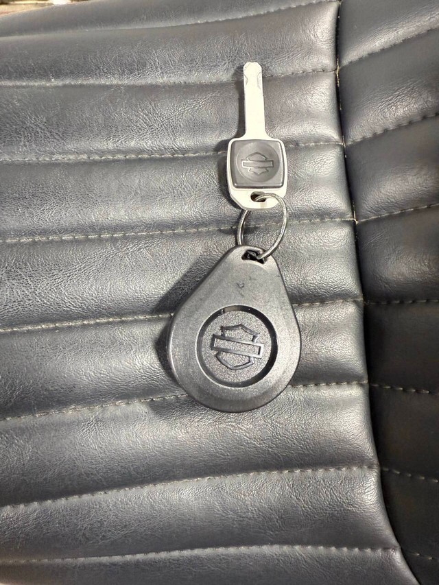 Harley-Davidson FXBBS STREET BO Vehicle Full-screen Gallery Image 19