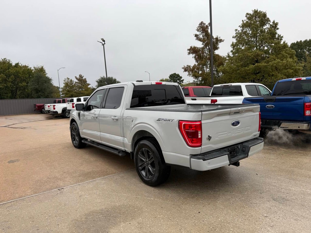 Ford F-150 Vehicle Full-screen Gallery Image 04