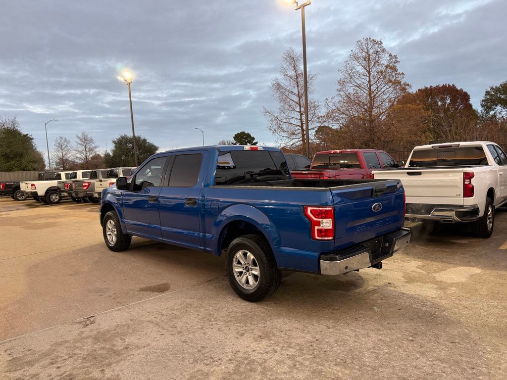 Ford F-150 Vehicle Full-screen Gallery Image 04