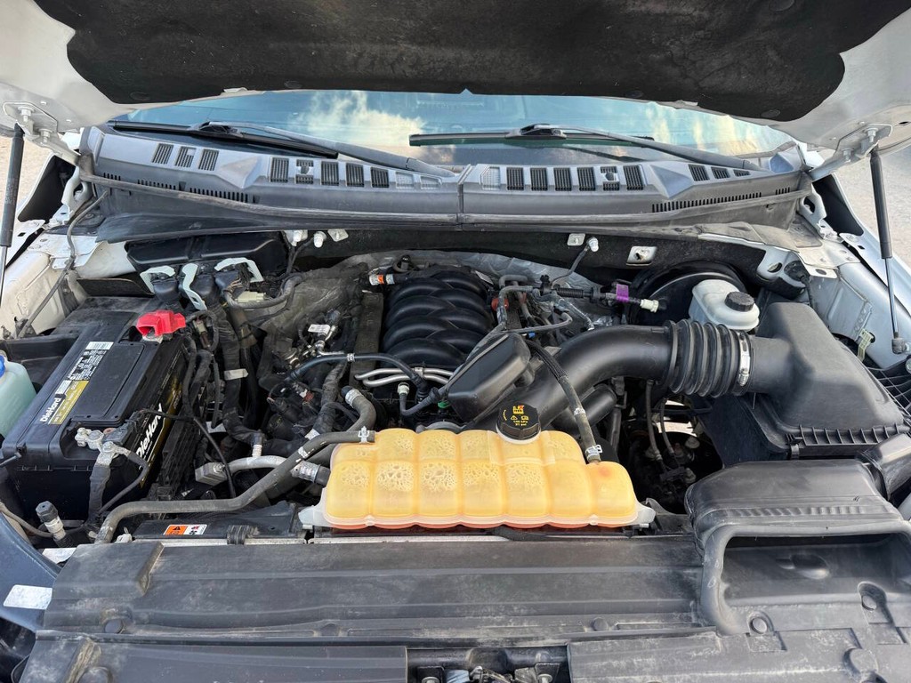 Ford F-150 Vehicle Full-screen Gallery Image 34