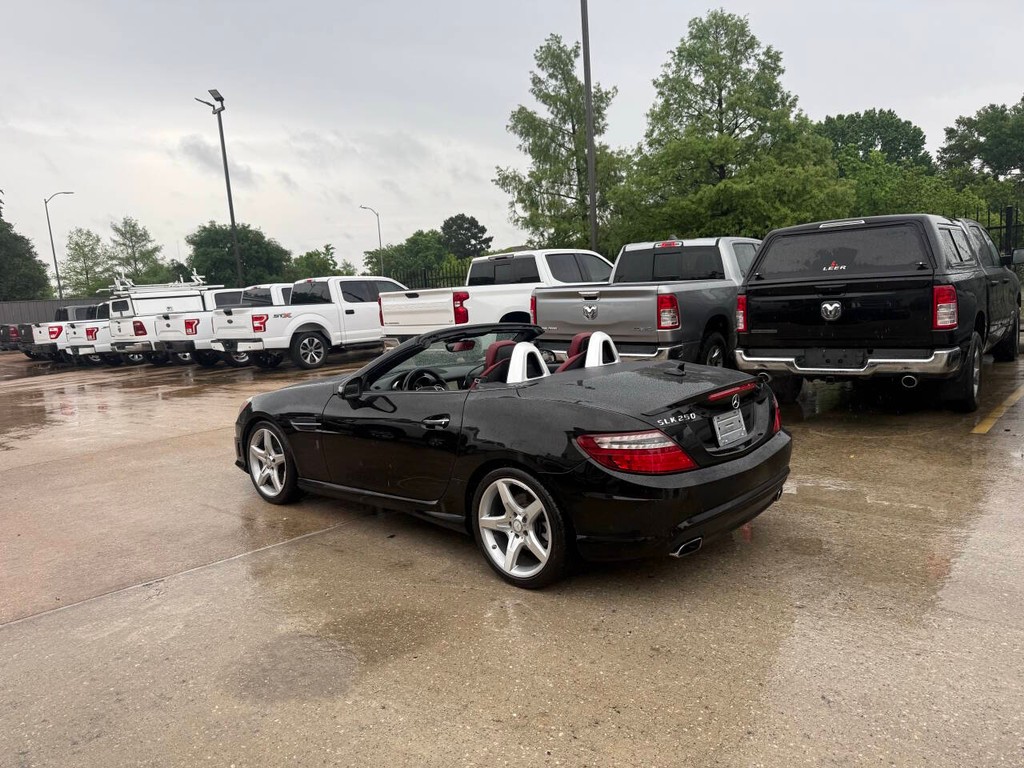 Mercedes-Benz SLK-Class Vehicle Full-screen Gallery Image 07