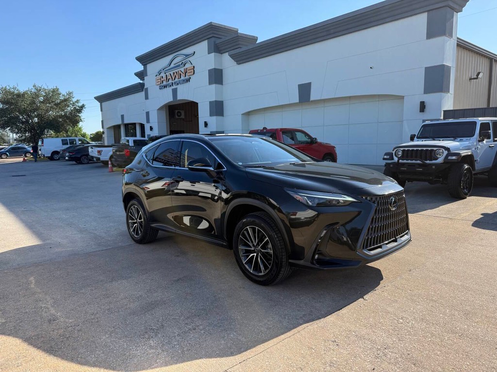 Lexus NX 250 Vehicle Full-screen Gallery Image 02