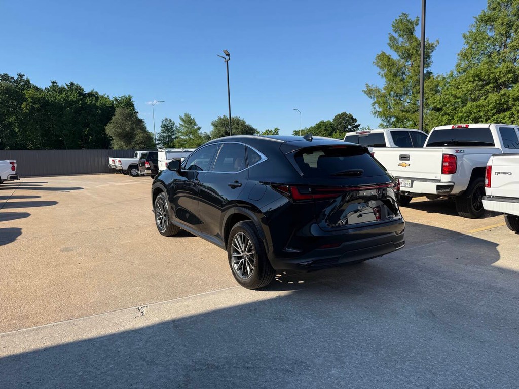 Lexus NX 250 Vehicle Full-screen Gallery Image 04