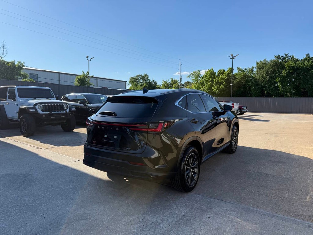 Lexus NX 250 Vehicle Full-screen Gallery Image 05