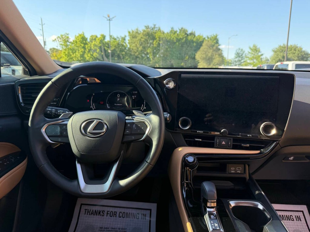 Lexus NX 250 Vehicle Full-screen Gallery Image 21