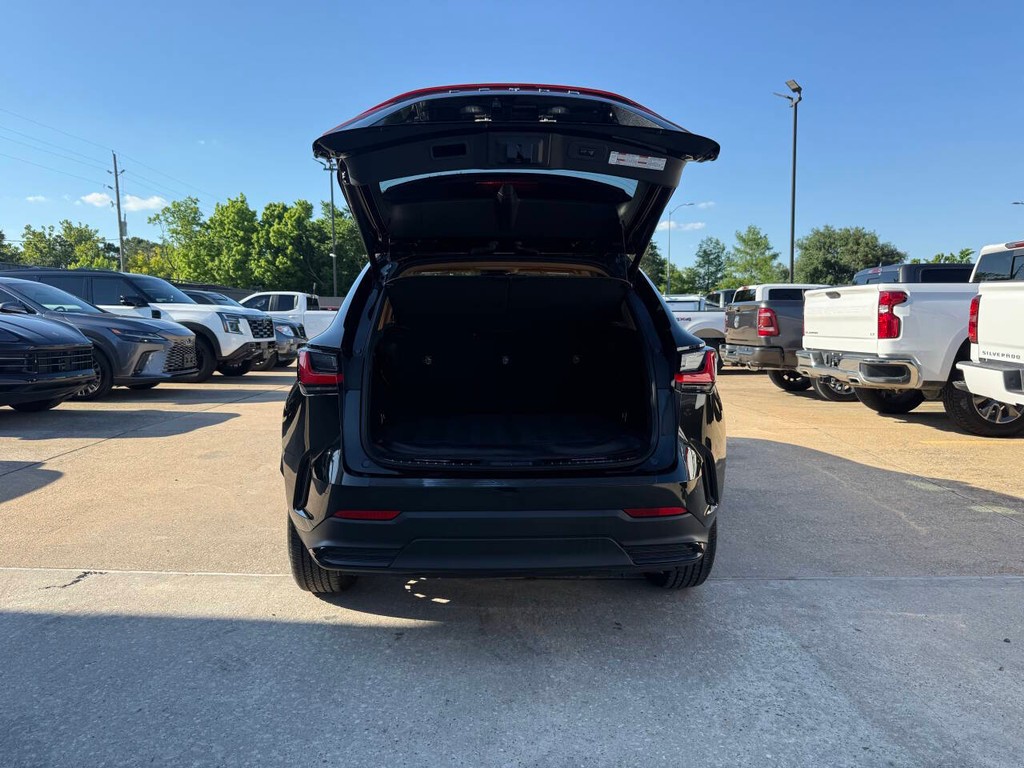 Lexus NX 250 Vehicle Full-screen Gallery Image 37