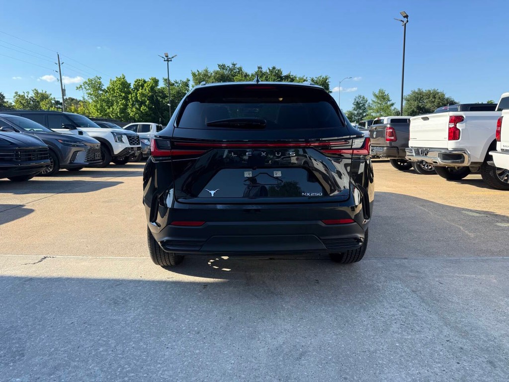 Lexus NX 250 Vehicle Full-screen Gallery Image 39