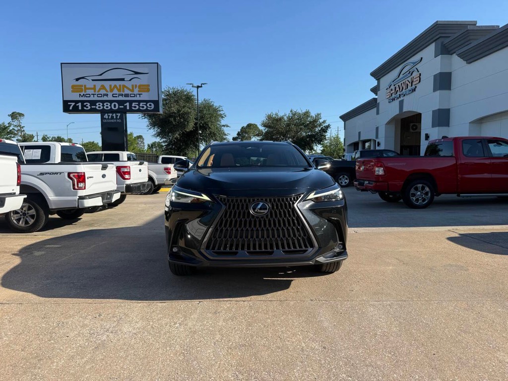 Lexus NX 250 Vehicle Full-screen Gallery Image 41