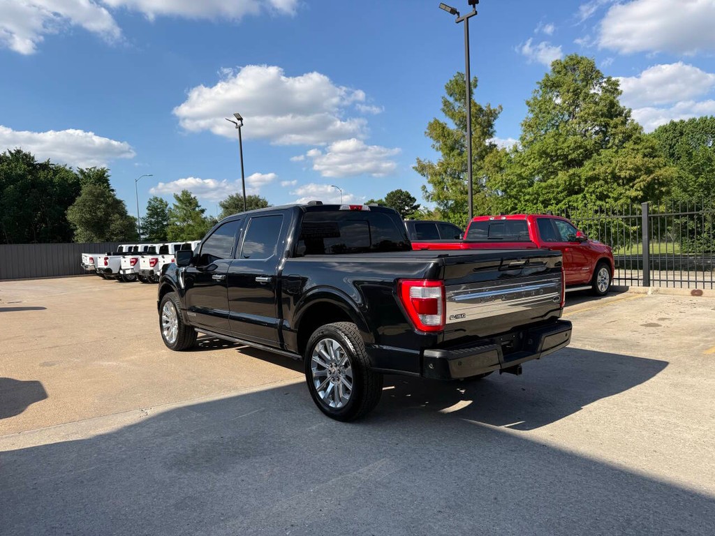 Ford F-150 Vehicle Full-screen Gallery Image 04