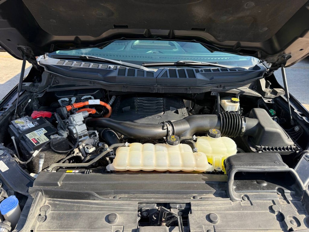 Ford F-150 Vehicle Full-screen Gallery Image 39