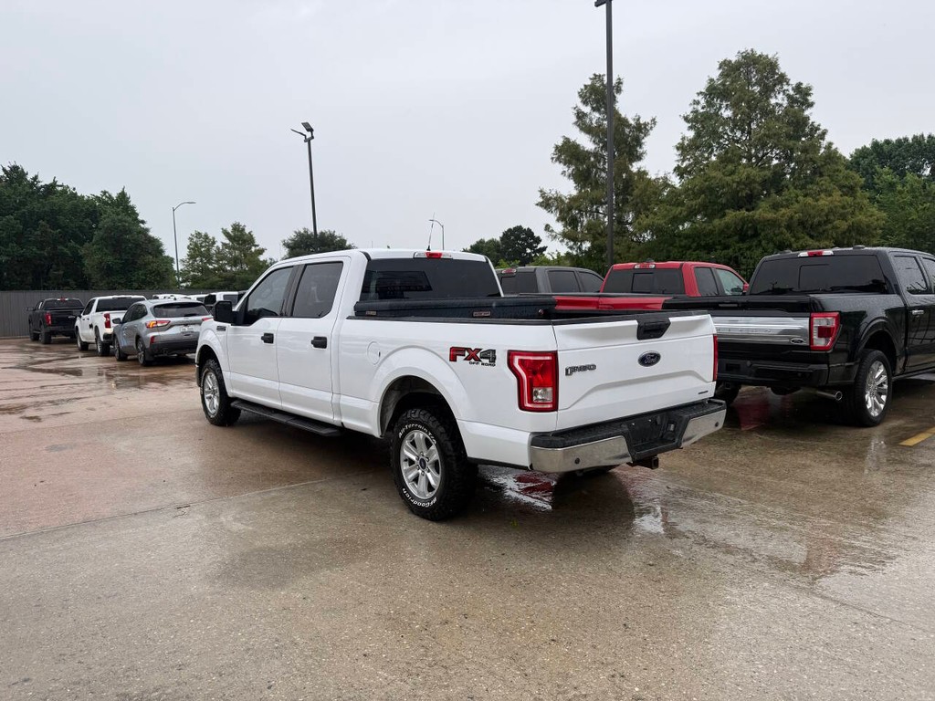 Ford F-150 Vehicle Full-screen Gallery Image 04