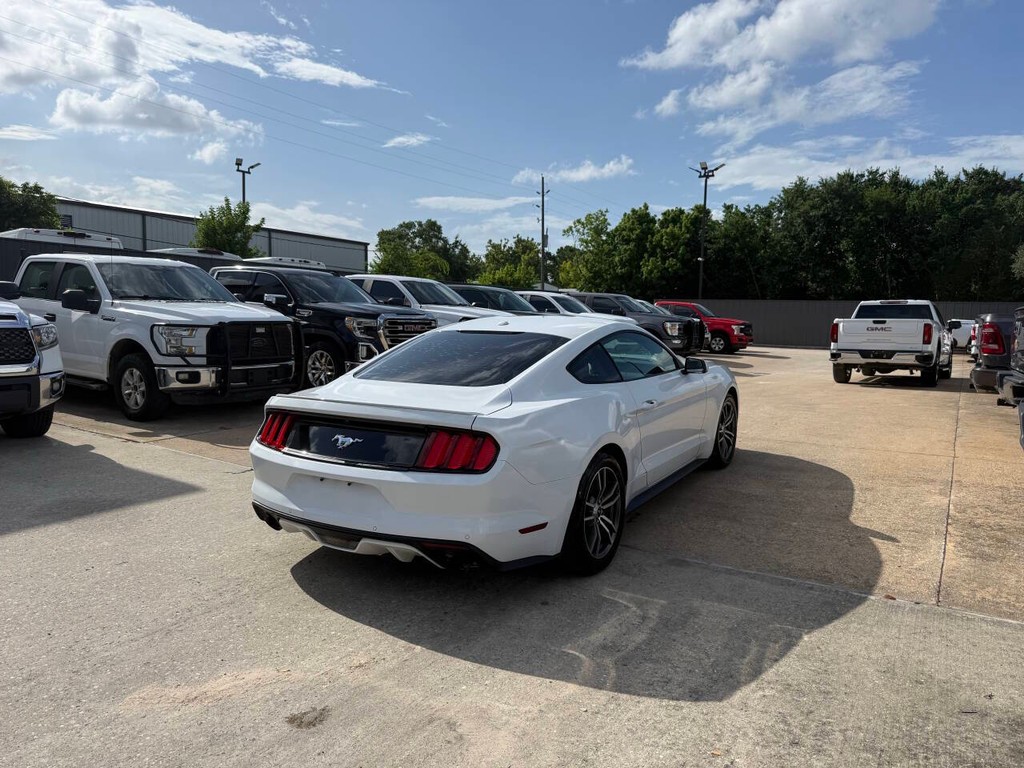Ford Mustang Vehicle Full-screen Gallery Image 05
