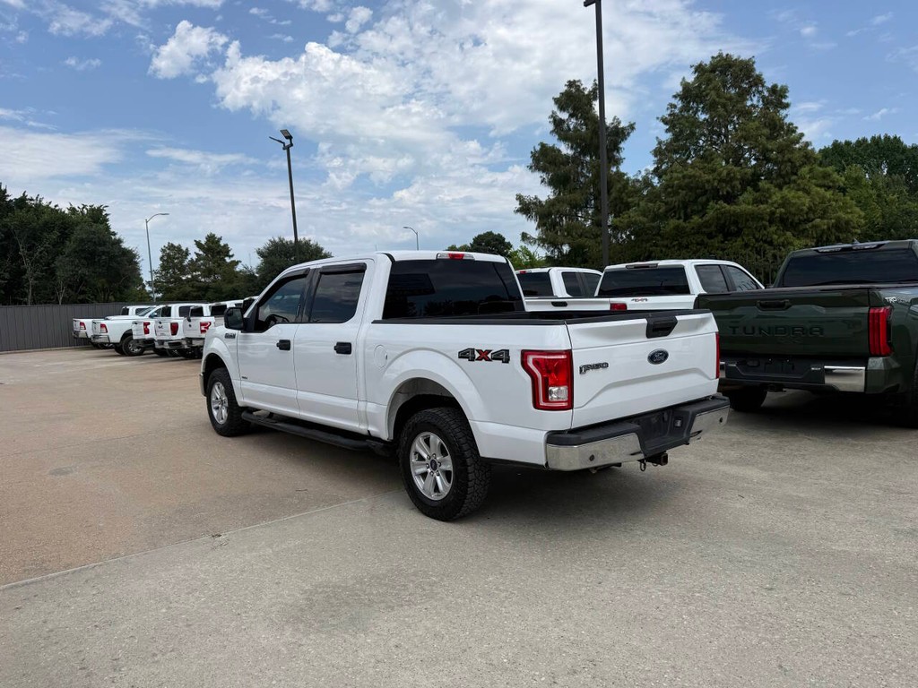 Ford F-150 Vehicle Full-screen Gallery Image 04