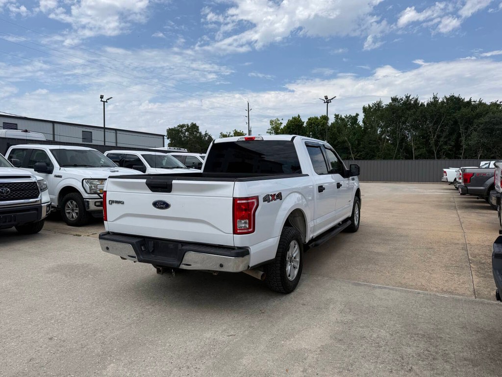 Ford F-150 Vehicle Full-screen Gallery Image 05