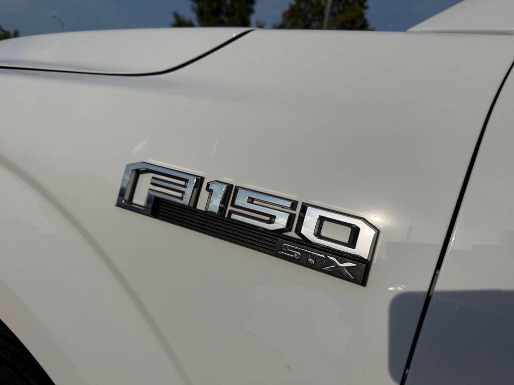 Ford F-150 Vehicle Full-screen Gallery Image 36