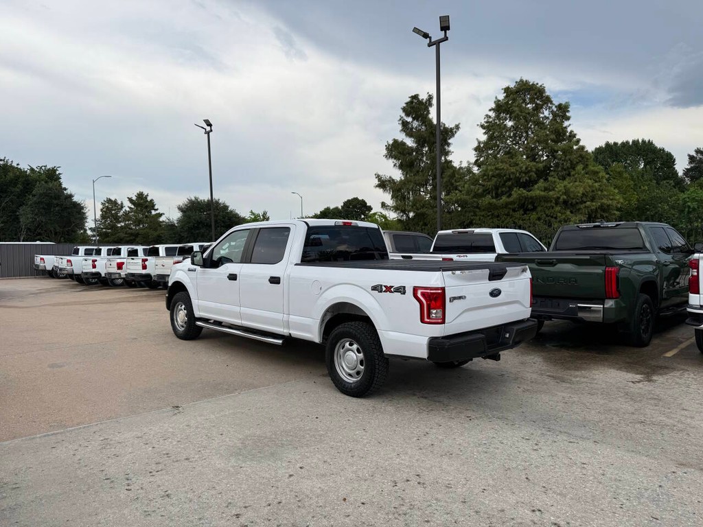 Ford F-150 Vehicle Full-screen Gallery Image 04