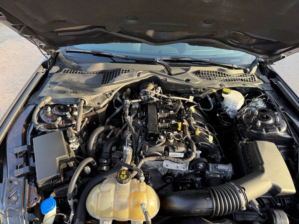 Ford Mustang Vehicle Full-screen Gallery Image 29