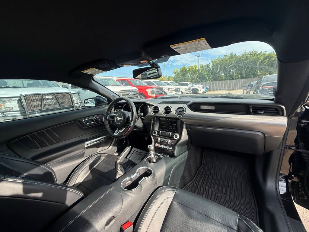 Ford Mustang Vehicle Full-screen Gallery Image 14