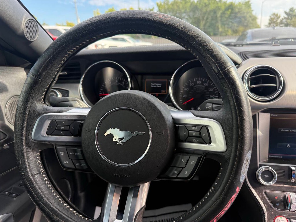 Ford Mustang Vehicle Full-screen Gallery Image 18