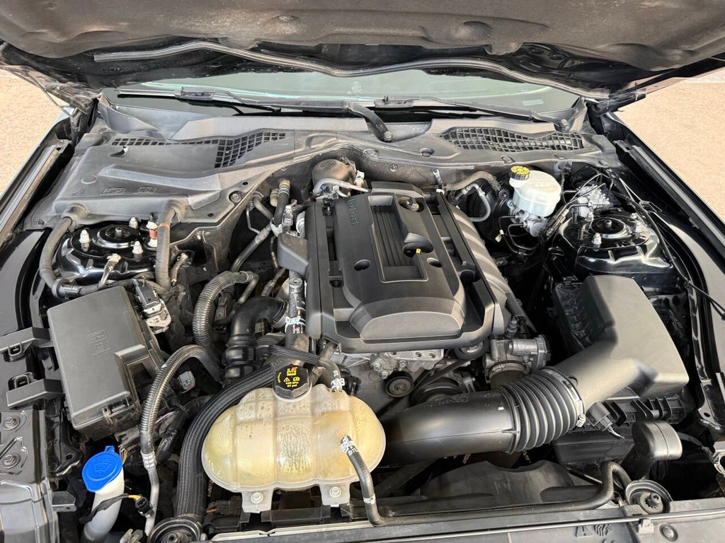 Ford Mustang Vehicle Full-screen Gallery Image 30