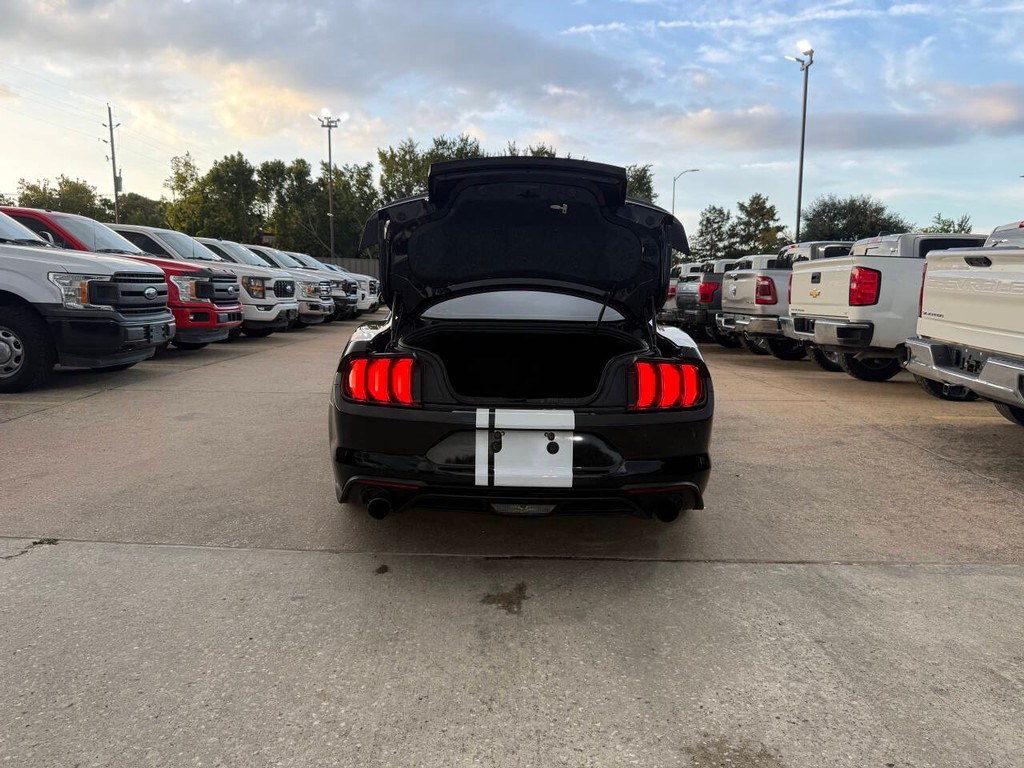 Ford Mustang Vehicle Full-screen Gallery Image 32