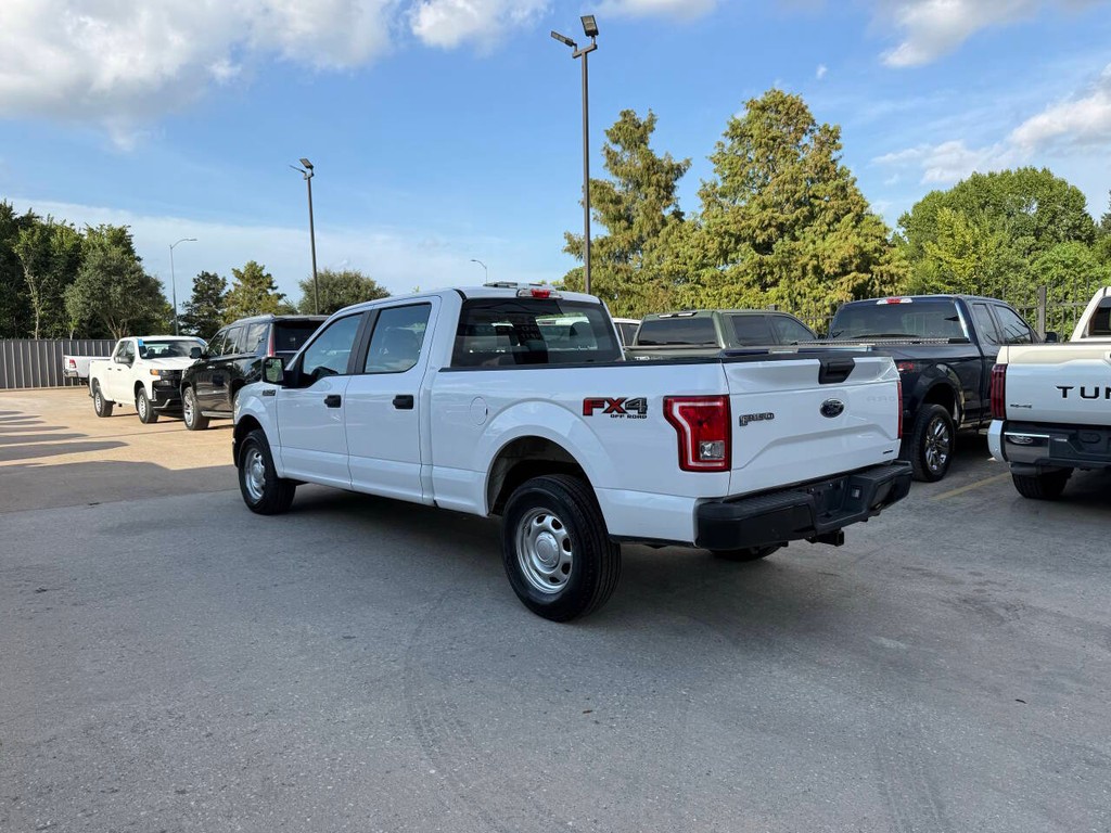 Ford F-150 Vehicle Full-screen Gallery Image 04