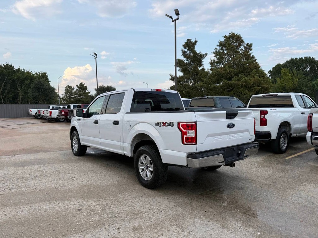 Ford F-150 Vehicle Full-screen Gallery Image 04