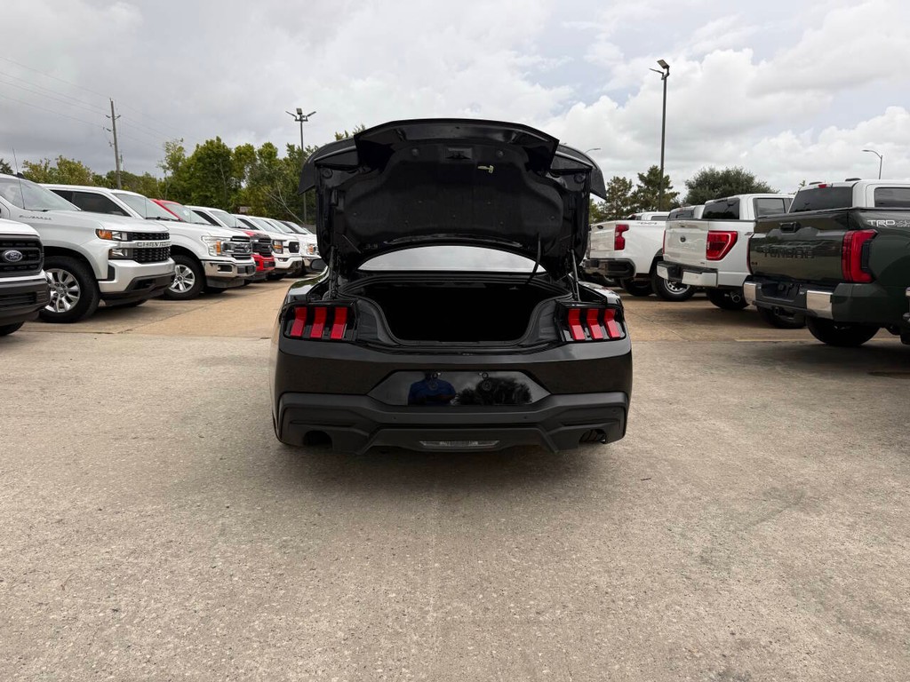 Ford Mustang Vehicle Full-screen Gallery Image 33