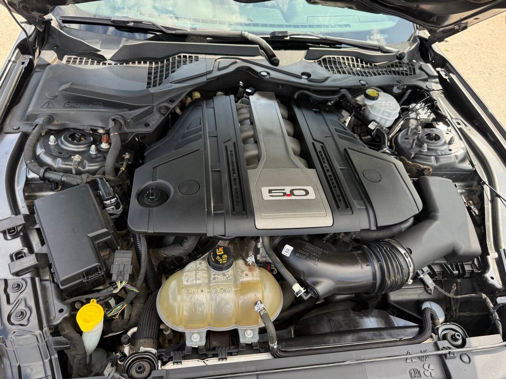 Ford Mustang Vehicle Full-screen Gallery Image 29