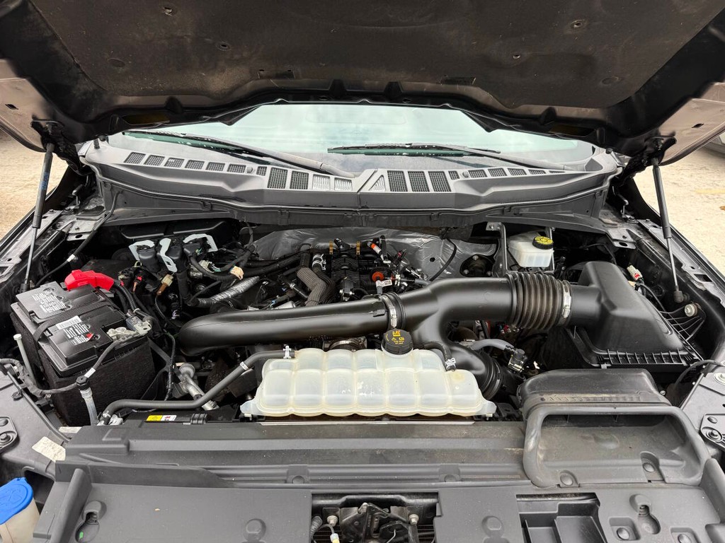 Ford F-150 Vehicle Full-screen Gallery Image 34