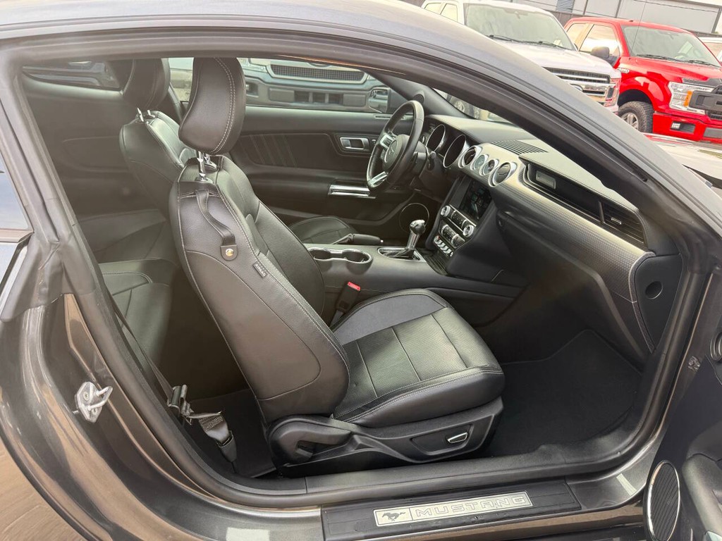 Ford Mustang Vehicle Full-screen Gallery Image 11