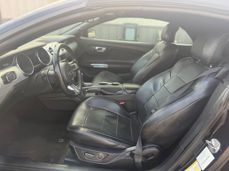 Ford Mustang Vehicle Full-screen Gallery Image 6