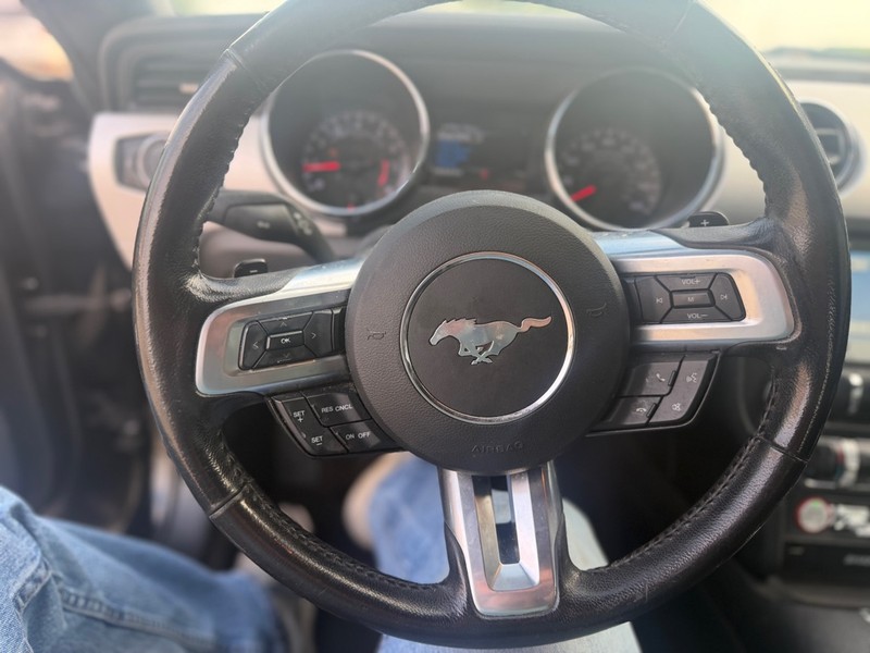 Ford Mustang Vehicle Full-screen Gallery Image 8