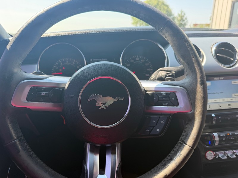 Ford Mustang Vehicle Full-screen Gallery Image 9