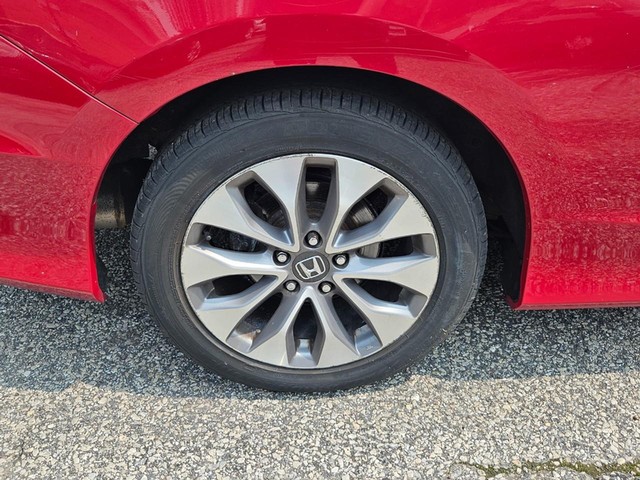 2014 Honda Accord EX-L COUPE image 10