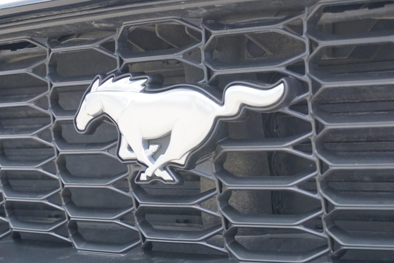 Ford Mustang Vehicle Full-screen Gallery Image 16