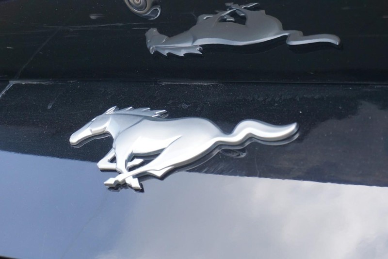 Ford Mustang Vehicle Full-screen Gallery Image 23