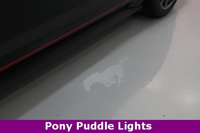 Ford Mustang Thumbnail Image 73