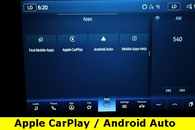 Ford F-150 Vehicle Image 39