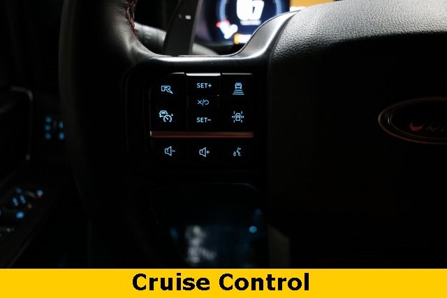 Ford F-150 Vehicle Image 42