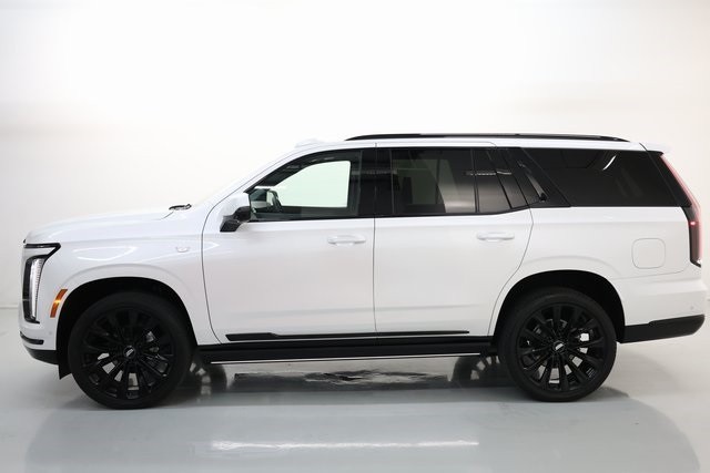 Cadillac Escalade Vehicle Image 09