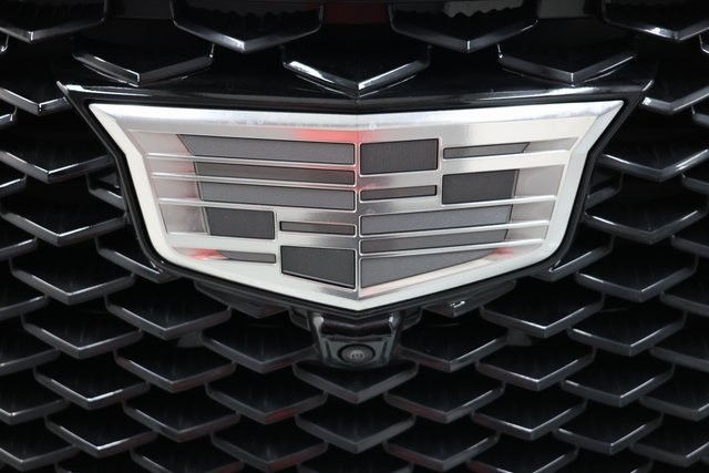 Cadillac Escalade Vehicle Image 19