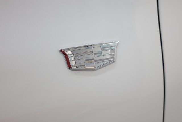 Cadillac Escalade Vehicle Image 20