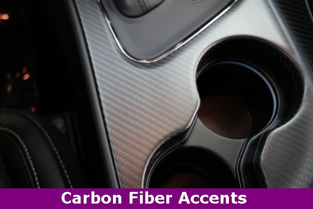 Dodge Challenger Vehicle Image 17