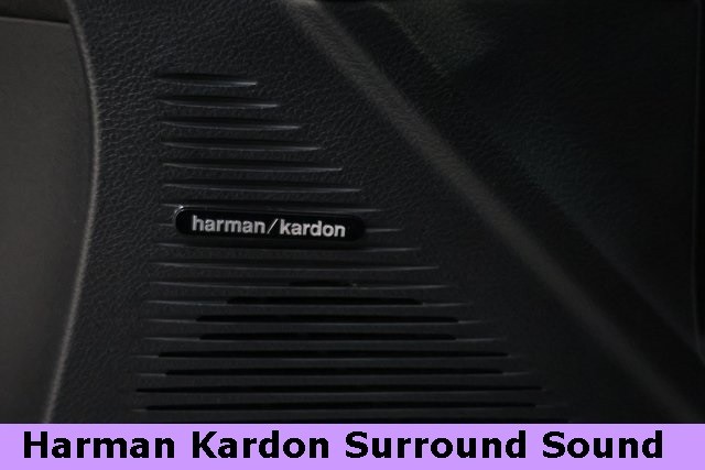 Dodge Challenger Vehicle Image 31