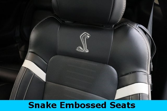 Ford Mustang Vehicle Image 18