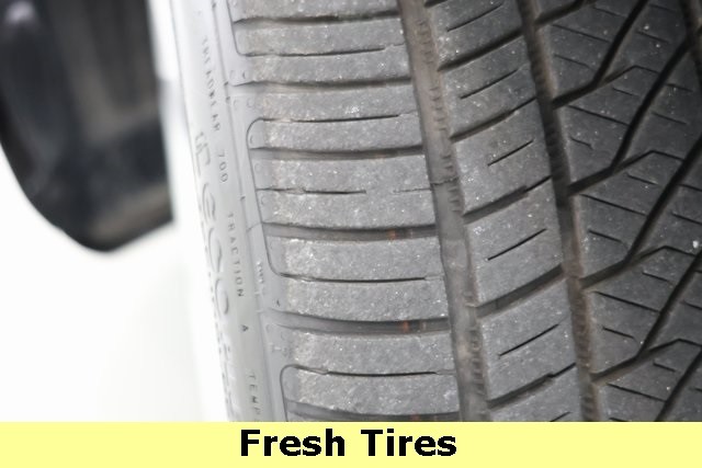 Tesla Model 3 Vehicle Image 06