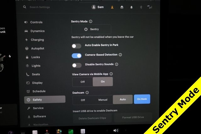 Tesla Model 3 Vehicle Image 20
