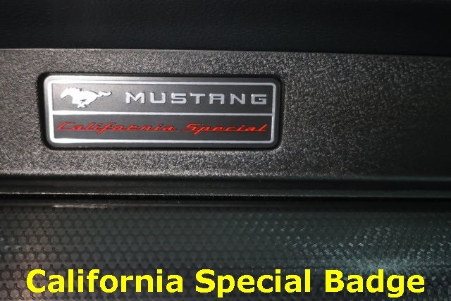 Ford Mustang Vehicle Image 04